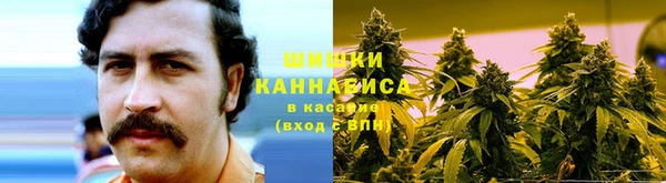 сатива Абаза