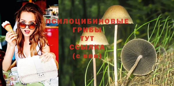 спиды Абинск