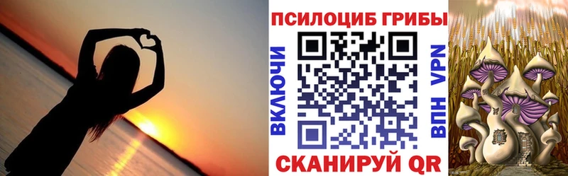 Псилоцибиновые грибы Psilocybine cubensis  дарнет шоп  Чебаркуль 